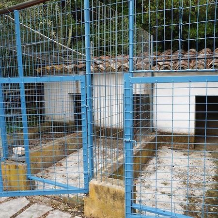 Horta De Pepinais Vila Elvas Exterior foto