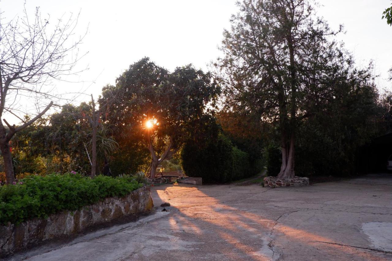 Horta De Pepinais Vila Elvas Exterior foto
