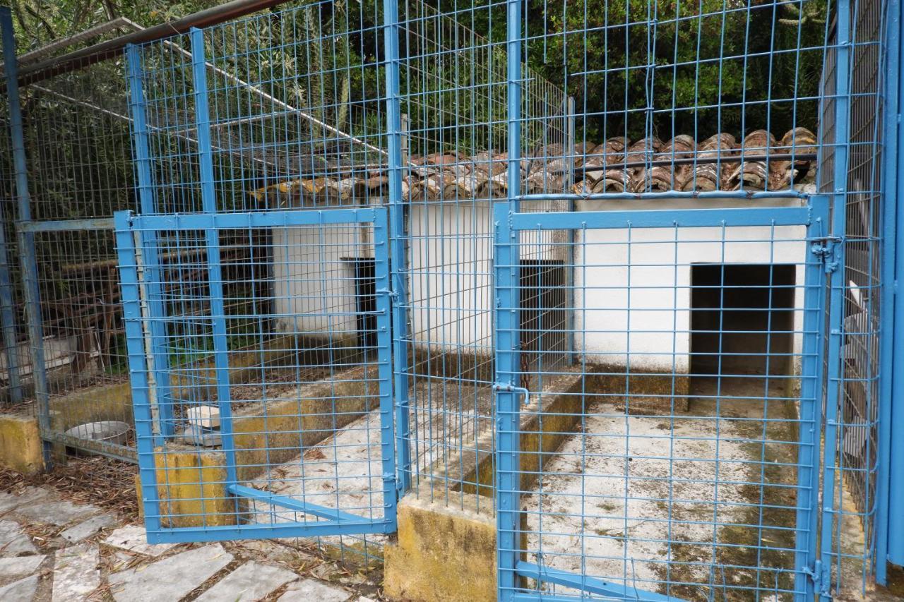 Horta De Pepinais Vila Elvas Exterior foto